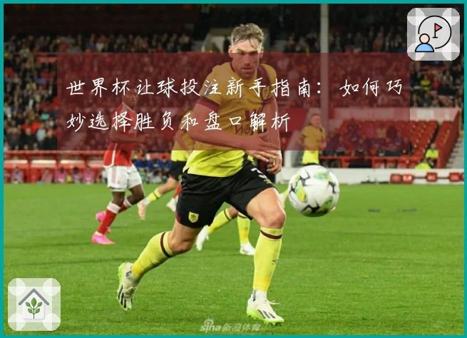 世界杯让球投注新手指南：如何巧妙选择胜负和盘口解析