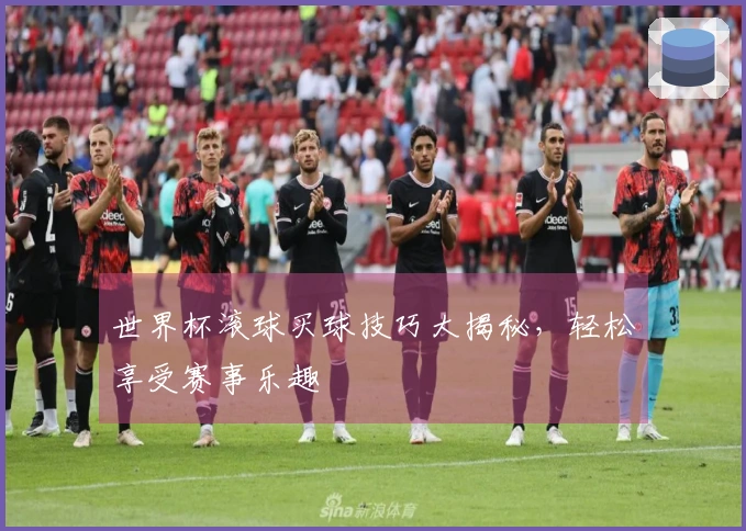 世界杯滚球买球技巧大揭秘，轻松享受赛事乐趣