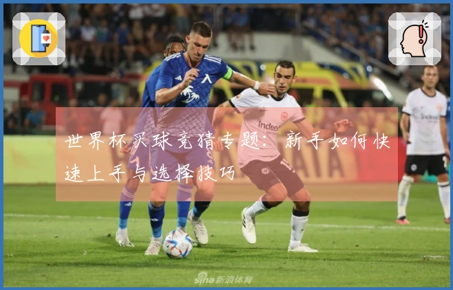 世界杯买球竞猜专题：新手如何快速上手与选择技巧