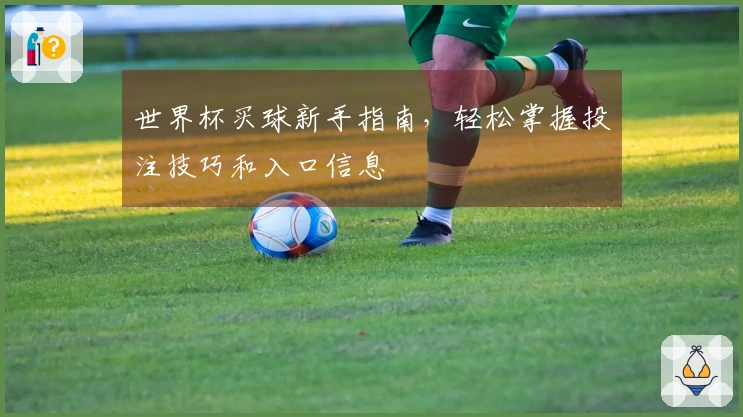 世界杯买球新手指南，轻松掌握投注技巧和入口信息