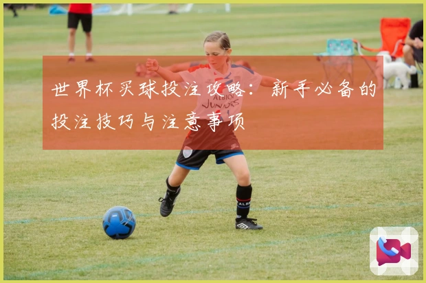 世界杯买球投注攻略：新手必备的投注技巧与注意事项