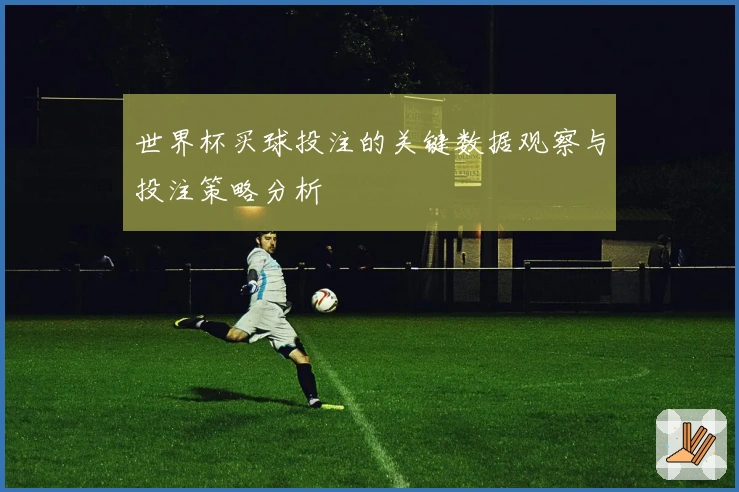 世界杯买球投注的关键数据观察与投注策略分析