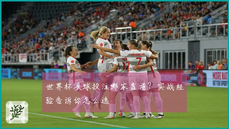 世界杯滚球投注哪家靠谱？实战经验告诉你怎么选