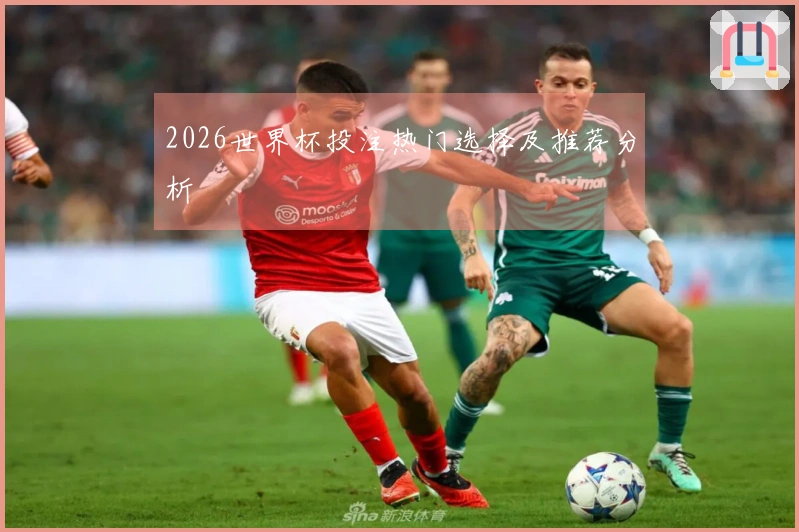 2026世界杯投注热门选择及推荐分析