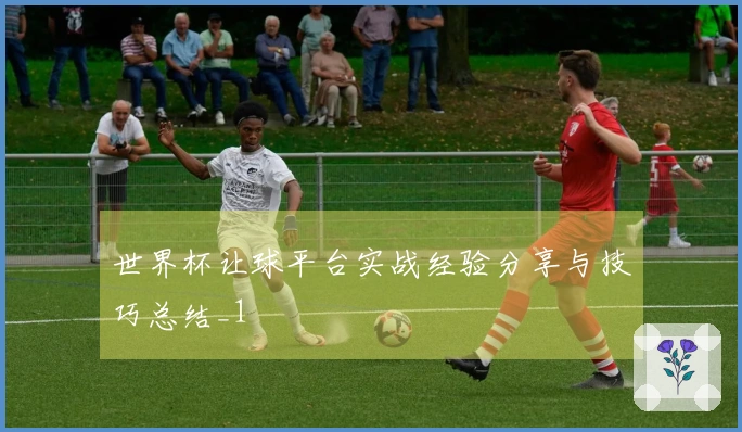 世界杯让球平台实战经验分享与技巧总结_1
