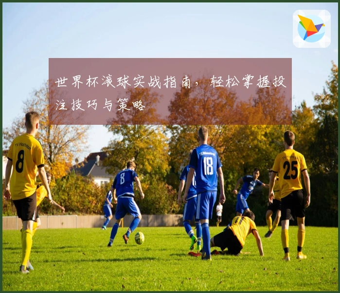 世界杯滚球实战指南，轻松掌握投注技巧与策略