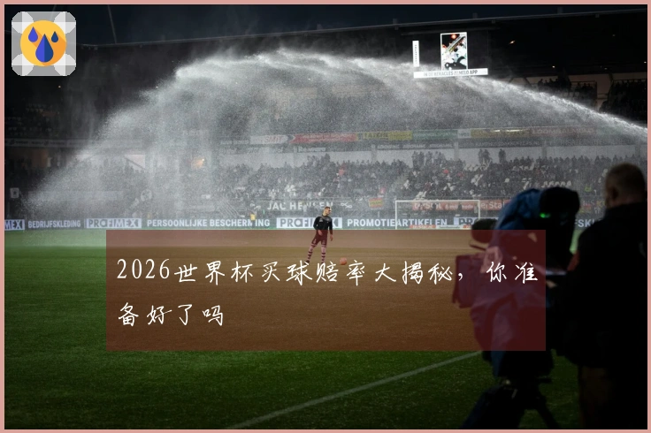 2026世界杯买球赔率大揭秘，你准备好了吗